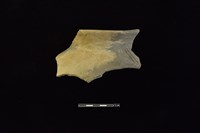 藏品(陶罐)的圖片